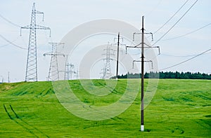 green and young barley field during sunset. power line. wires