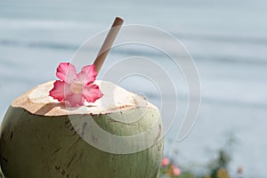 Green young fresh coconut close up with bamboo straw and pink tropical flower on the  cliff and blue ocean with big waves for