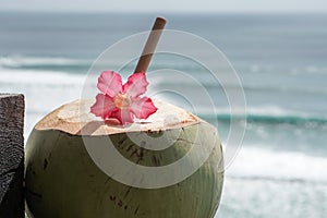 Green young fresh coconut close up with bamboo straw and pink tropical flower on the  cliff and blue ocean with big waves for