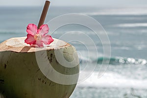 Green young fresh coconut close up with bamboo straw and pink tropical flower on the  cliff and blue ocean with big waves for