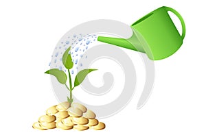 Green Young plant with money. Vector