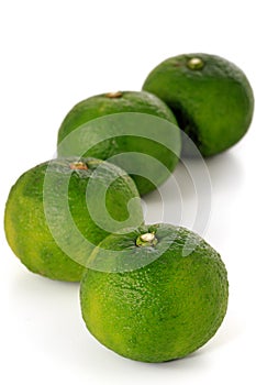 Green Yuzu: Citrus junos is a kind of Japanese citrus