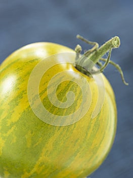 Green zebra tomato