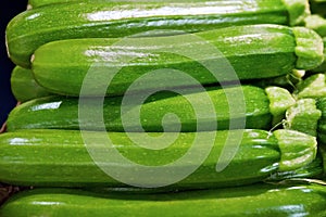 Green zucchini photo