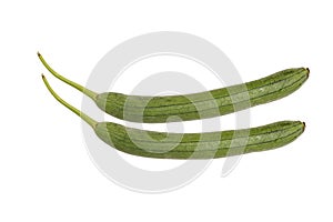 Green Zucchini isolated on white background. Japanese zucchini. Variety of marrow or summer squash, picked when small. Long and