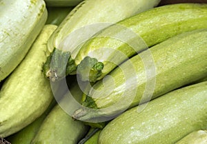 Green zucchini prepared for sale