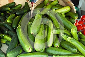 Green Zucchini Squash