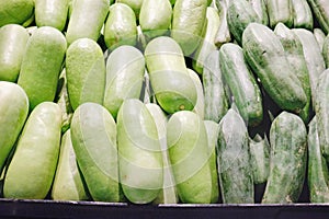 Green zucchini summer squash for sale at market