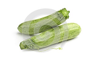 Green zucchini