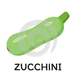 Green Zucchini, vector illustration in cartoon flat stye. Food and vegetable concept. Print for recipes, restaurant