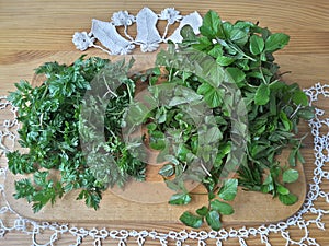 Greenary wild plants, Cow parsley and goutweed on table photo