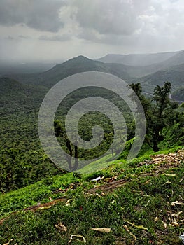 Jam gate Mountain view