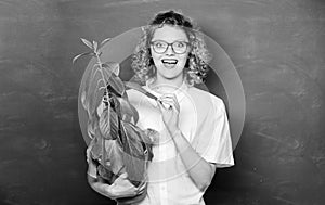 Greenery benefits. Botany and nerd concept. Woman school teacher chalkboard background carry plant in pot. Take good