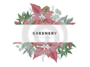 Greenery bouquet wreath template, red and green Poinsettia plant , green leaves in circle shape with white frame