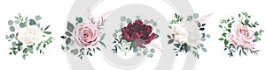 Greenery, burgundy red and white peony, blush rose flowers vector photo