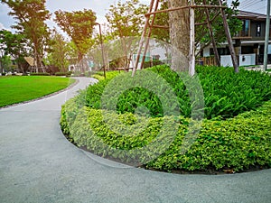 Greenery bush and trees in garden with gray curve pattern walkway, sand washed finishing on concrete paving and brown gravel