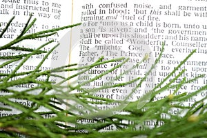 Greenery with Christmas scripture, Isaiah 9:6