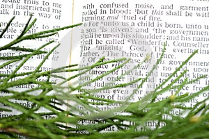 Greenery with Christmas scripture, Isaiah 9:6 photo