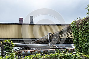 Greenery in contrast to industrial infrastructure. Steel pipes, industrial buildings and chimneys in the background. Zabrze,