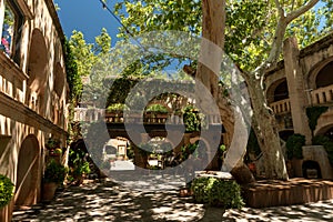 Greenery at a courtyard of a shopping center in Sedona, AZ, USA