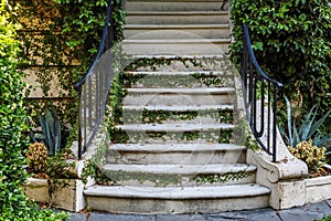 Greenery covered outdoor stairs steps to a building or home.