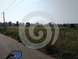 Greenery for a farmer