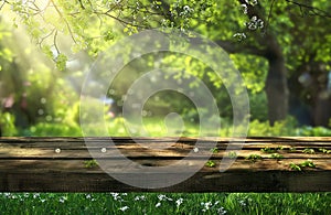 Greenery gardens spring background. An empty wooden table sits amidst nature