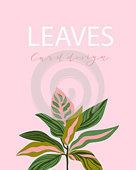 Greenery greeting/invitation card template design, green leaves on the pink background. Vector card