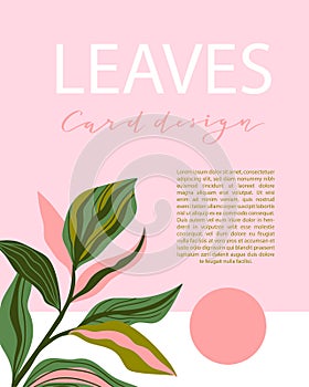 Greenery greeting/invitation card template design, green leaves on the pink background. Vector card