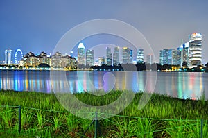 Greenery by Kallang River, with skyline and colourful reflections in the background