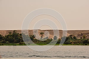 Greenery by the Nile in Egypt