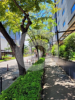 Greenery at IT Park in Cebu City, Philippines