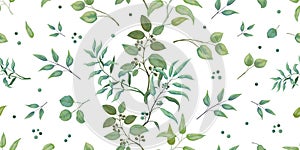Greenery pattern. Eucalyptus seamless wedding print of leaves and branches, trendy botanical background. Vector elegant