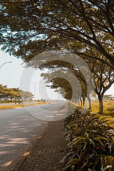 greenery planted on the shoulder of the road to beautify the road