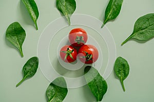 Greenery spinach leaves - Top View