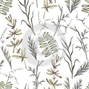 Greenery texture. Watercolor hand drawn seamless pattern with illustration of green leaves, spring herbs, wild flowers