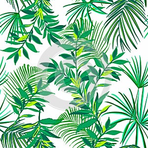 Greenery Tropical seamless pattern with exotic palm leaves fores