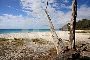 Greenfields Beach Jervis Bay Australia photo