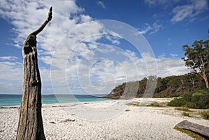 Greenfields Beach Jervis Bay Australia photo