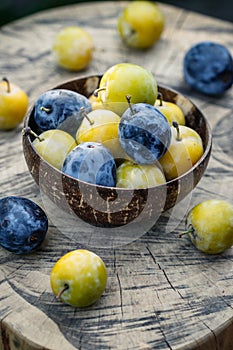 Greengage and blue plum in bowl