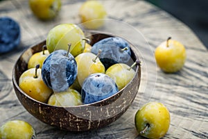 Greengage and blue plum in bowl
