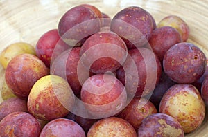 Greengages, plums in a bowl