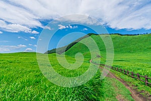 Greengrass at Soni plateau,Nara Prefecture ,Japan