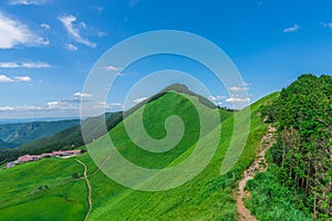 Greengrass at Soni plateau,Nara Prefecture ,Japan