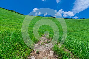 Greengrass at Soni plateau,Nara Prefecture ,Japan