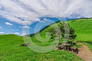 Greengrass at Soni plateau,Nara Prefecture ,Japan