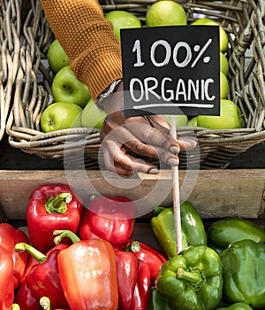 Greengrocer selling organic fresh agricultural product at farmer market