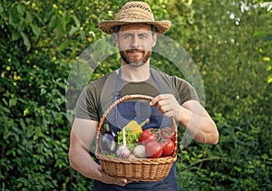 greengrocer in straw hat hold basket full of vegetables