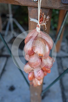 Greengrocers photo