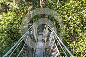 Greenheart treewalk at UBC photo